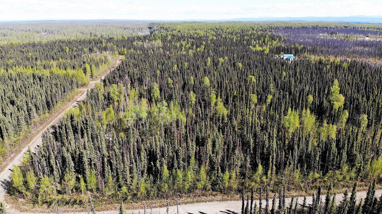 5 Acres Remote Land Willow Alaska with Road Access & Cabin