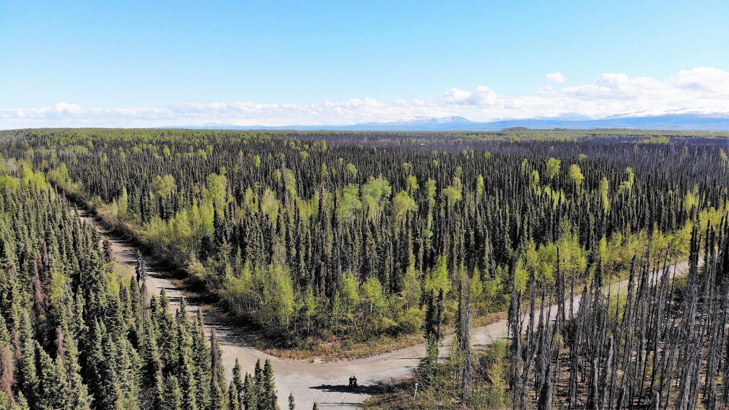 5 Acres Remote Land Willow Alaska with Road Access & Cabin