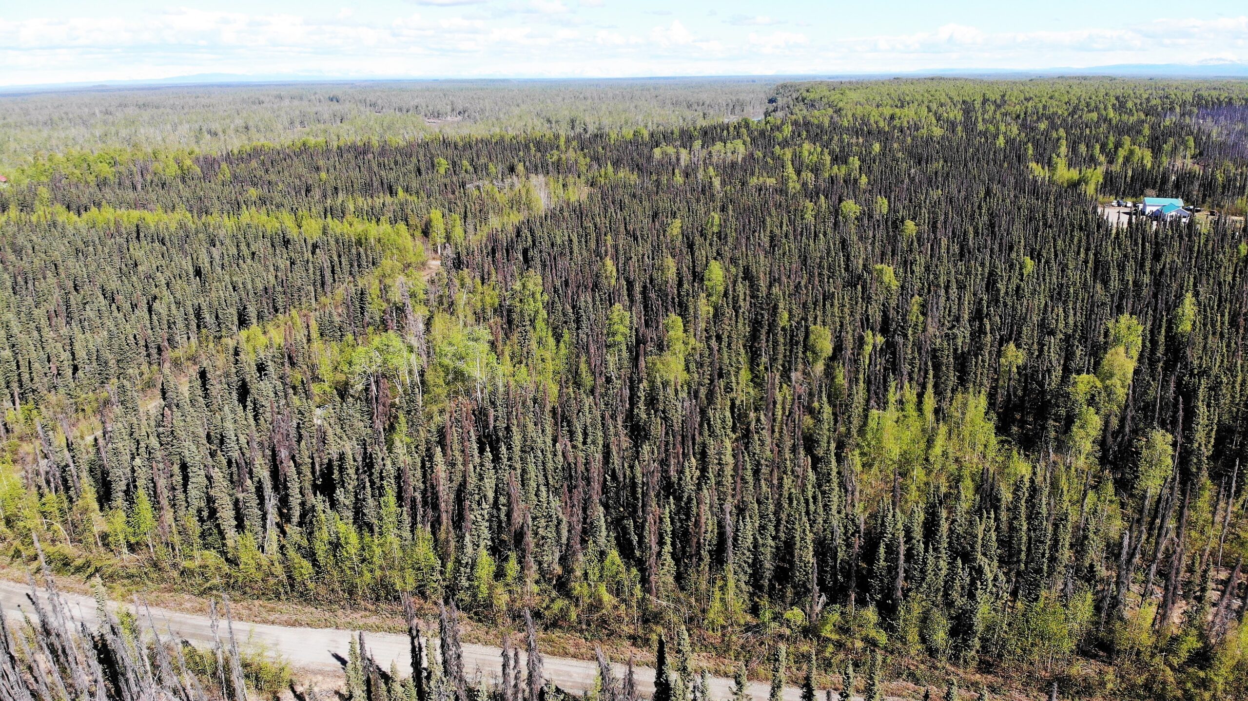 5 Acres Remote Land Willow Alaska with Road Access & Cabin