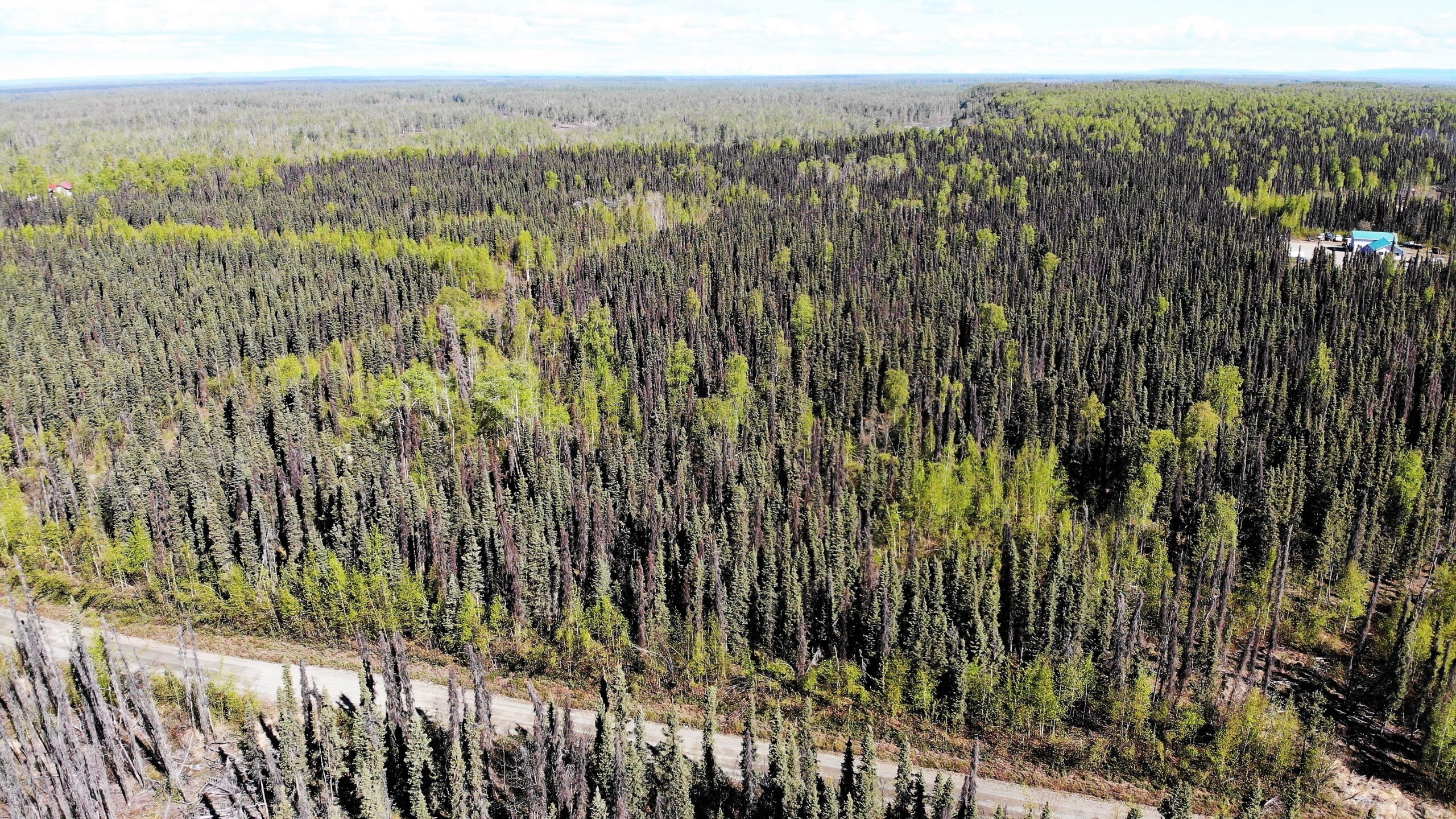 5 Acres Remote Land Willow Alaska with Road Access & Cabin