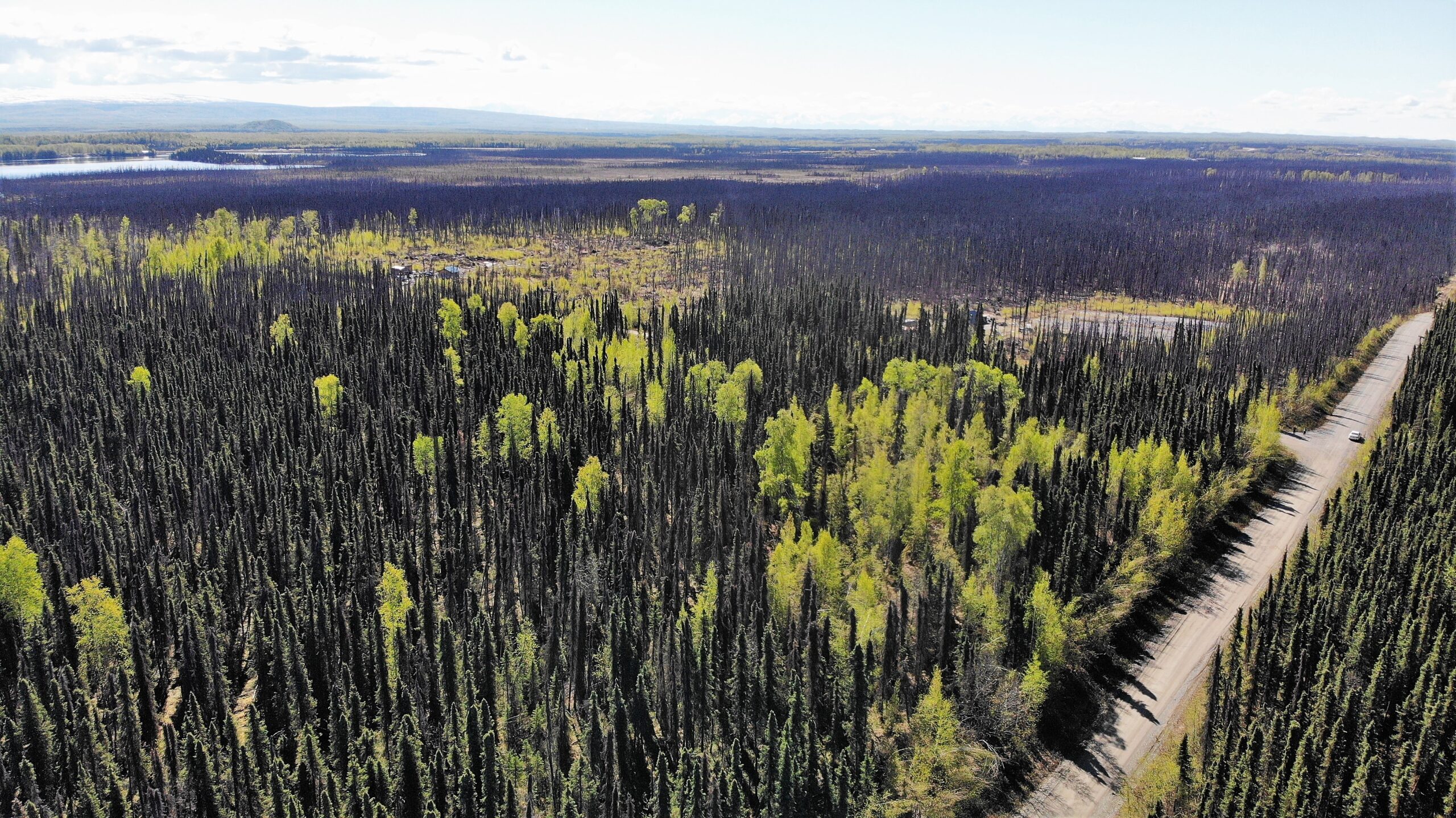5 Acres Remote Land Willow Alaska with Road Access & Cabin