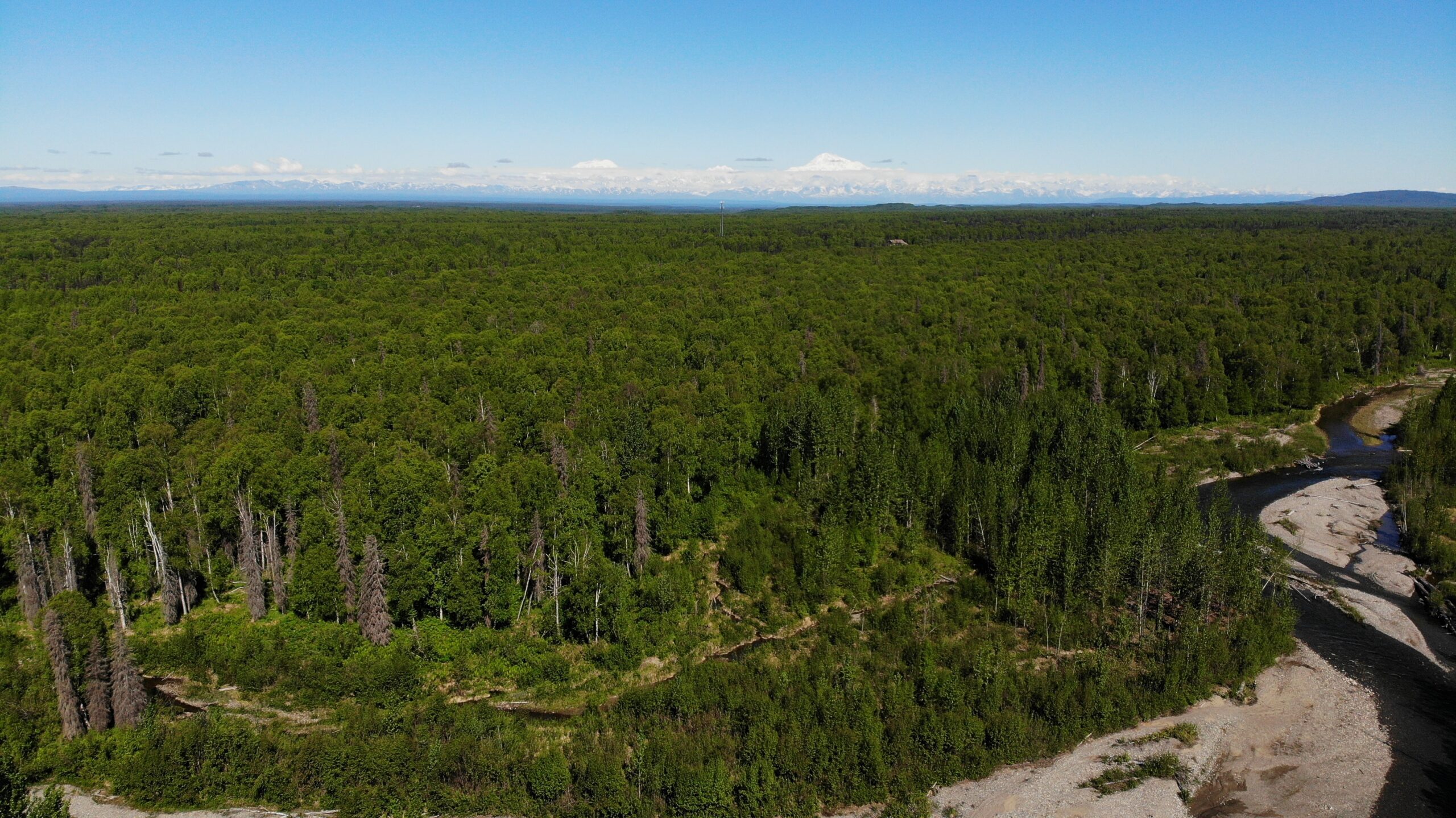 Remote Acreage Talkeetna, Montana Creek Frontage, 55 Acres