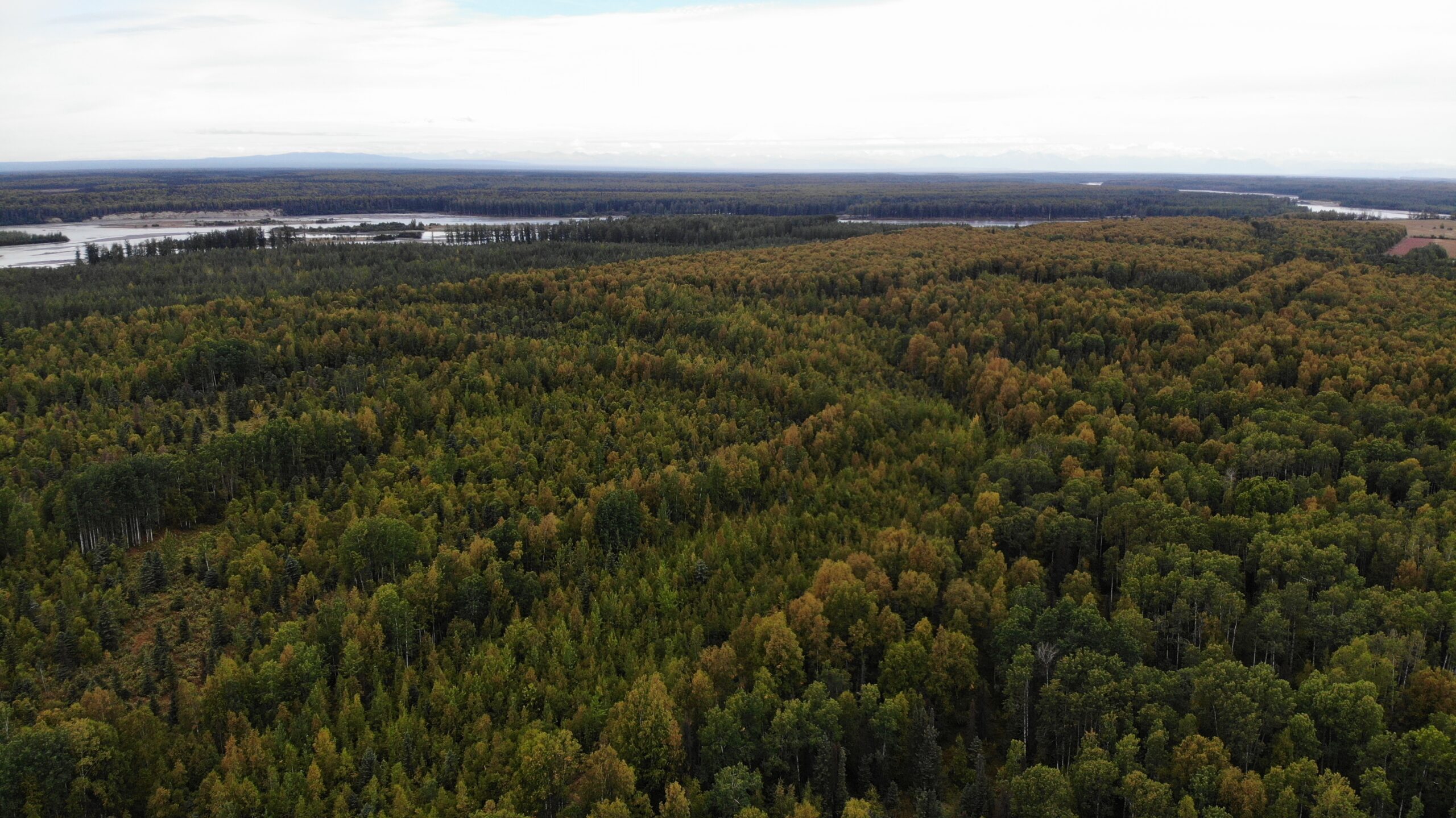 Remote Land Talkeetna Alaska 15 Acres, Close to the Su River