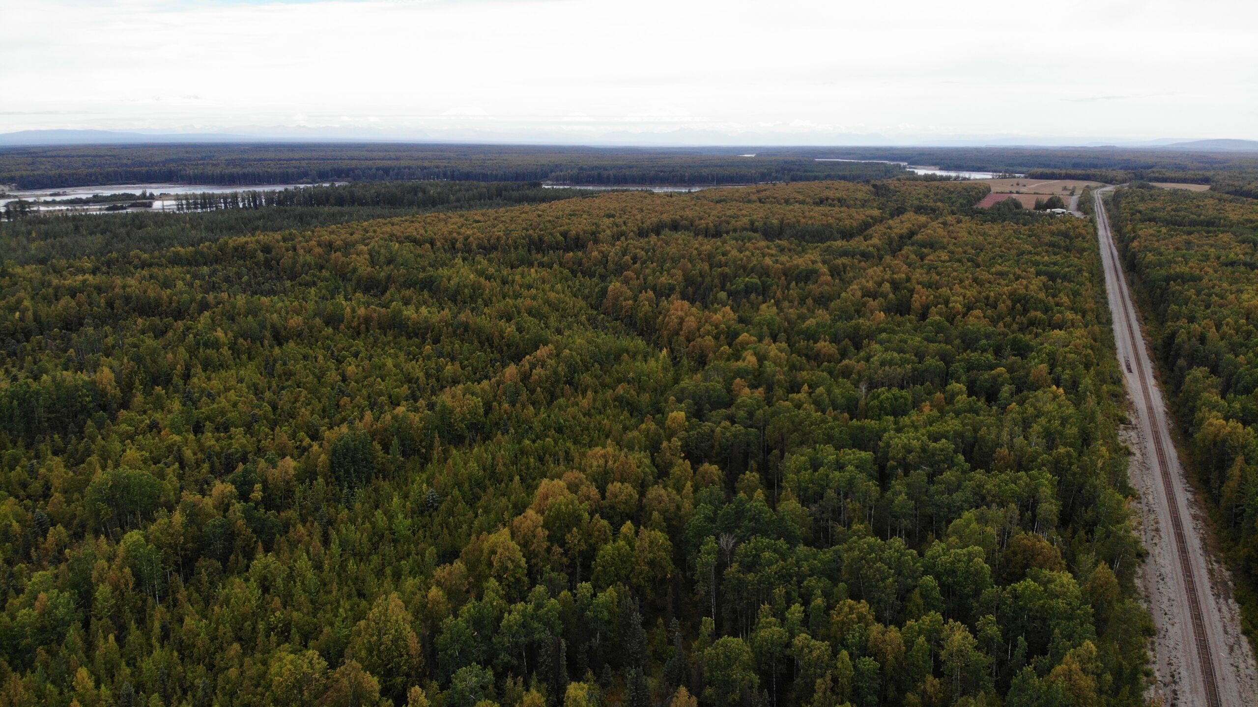 Remote Land Talkeetna Alaska 15 Acres, Close to the Su River