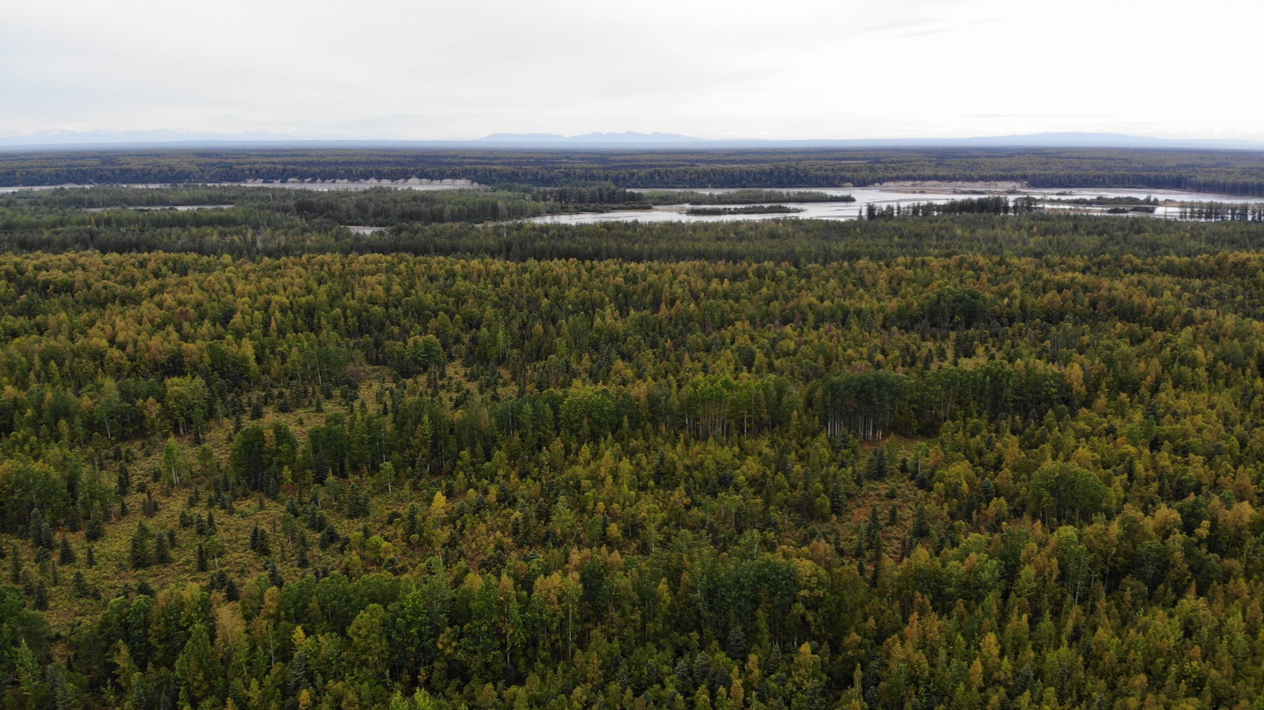 Remote Land Talkeetna Alaska 15 Acres, Close to the Su River