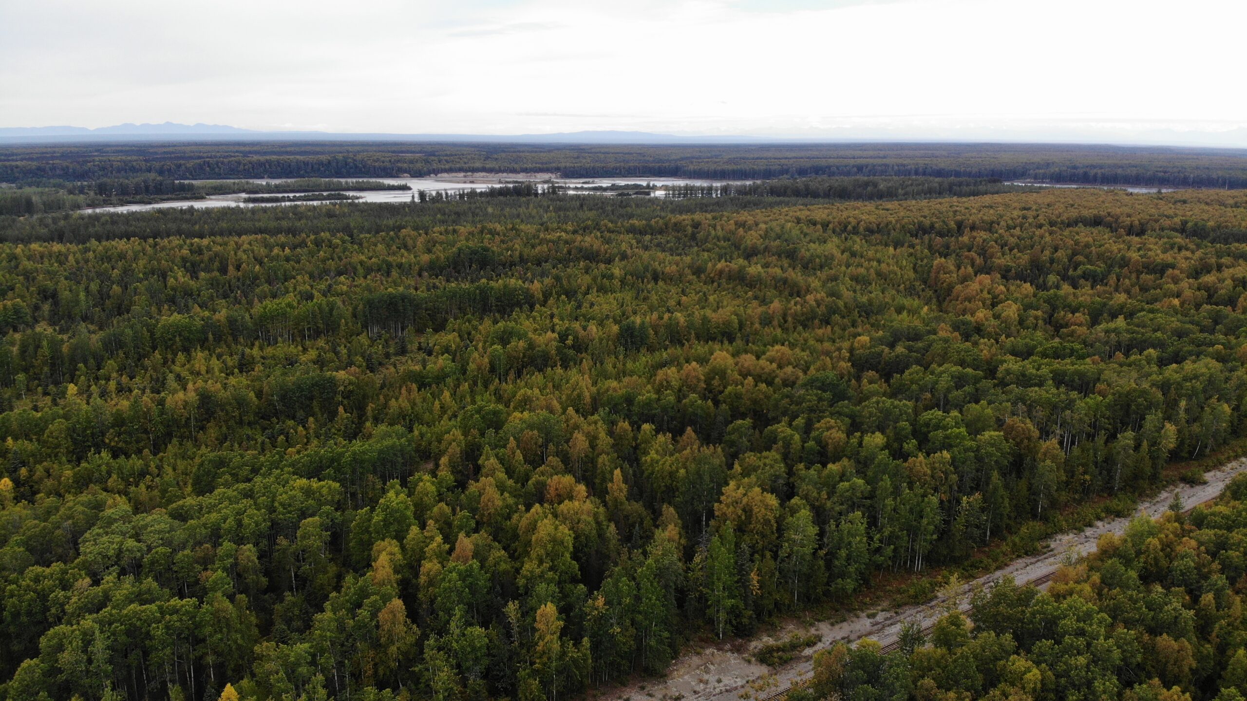 Remote Land Talkeetna Alaska 15 Acres, Close to the Su River