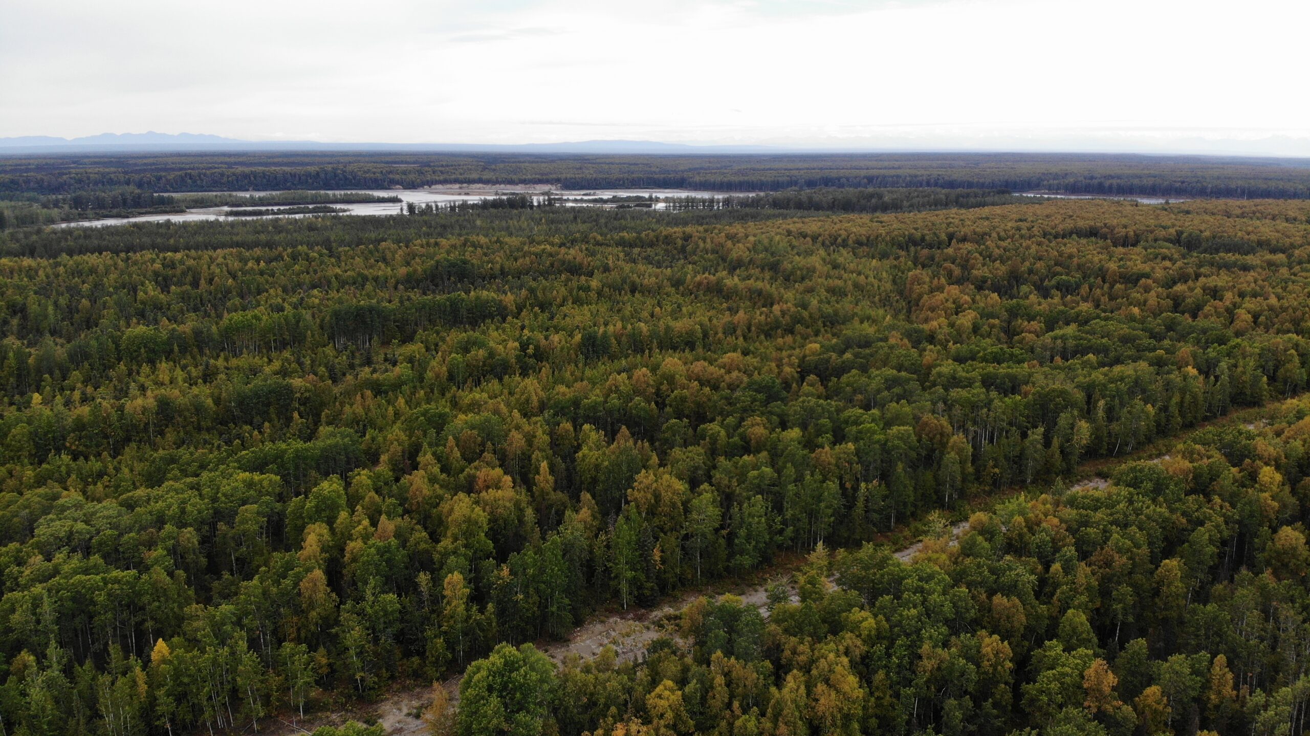 Remote Land Talkeetna Alaska 15 Acres, Close to the Su River