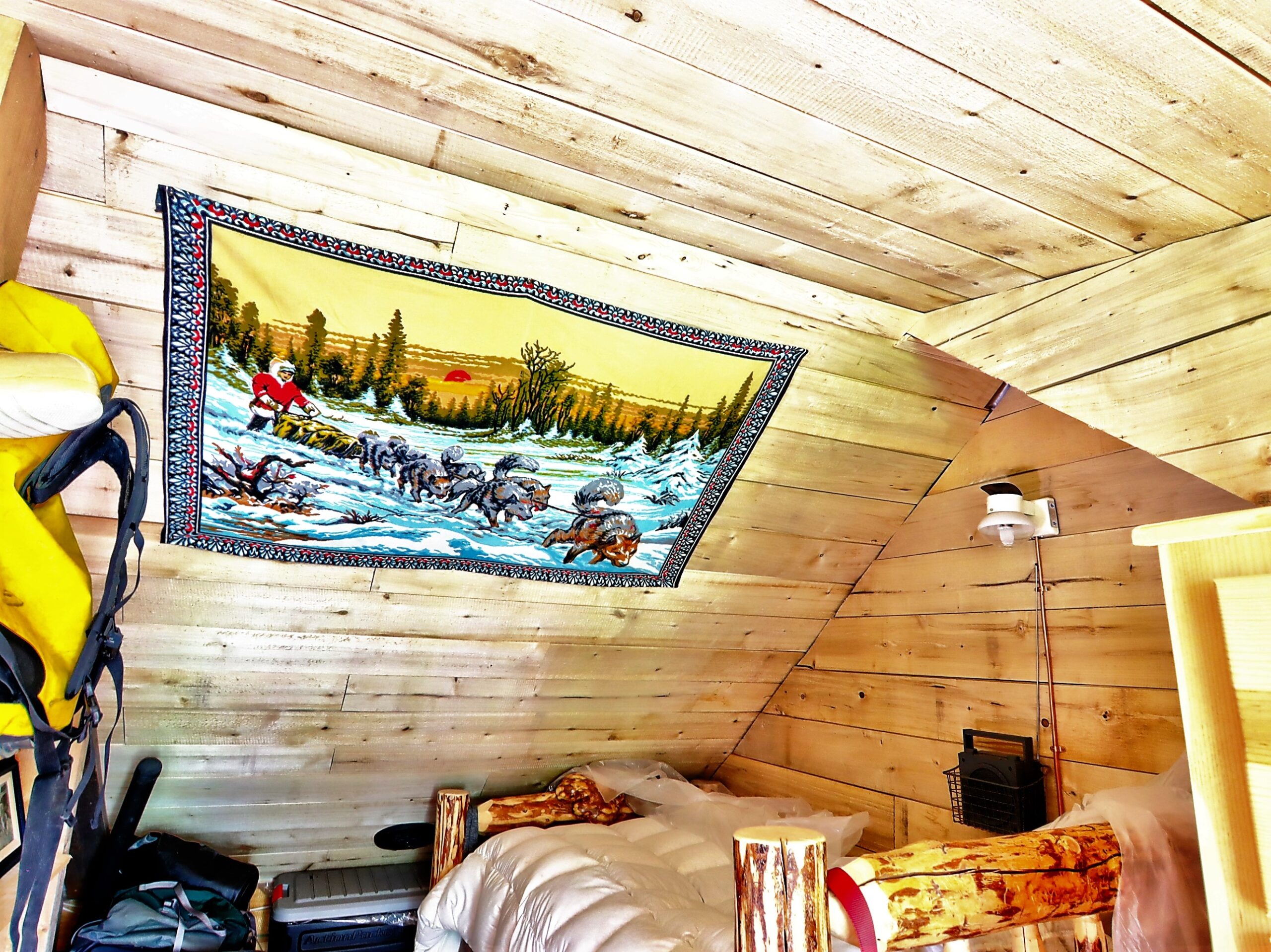 Remote Log Cabin for Sale on 5 Acres in Talkeetna Alaska