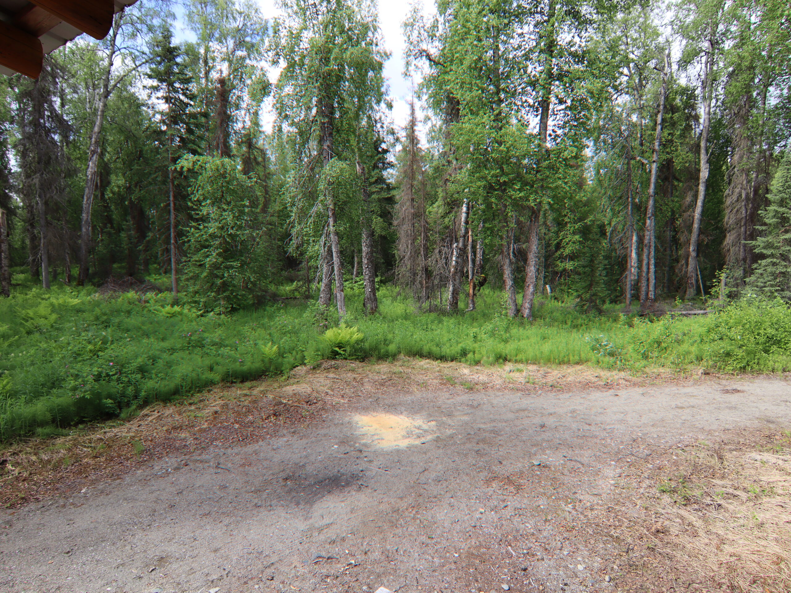 Remote Log Cabin for Sale on 5 Acres in Talkeetna Alaska