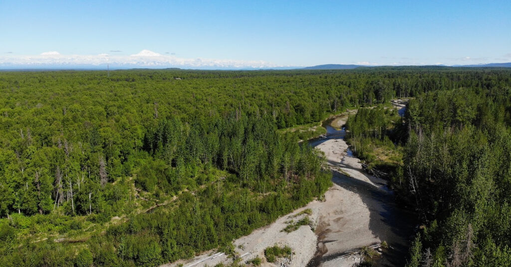 Remote Acreage Talkeetna, Montana Creek Frontage, 55 Acres