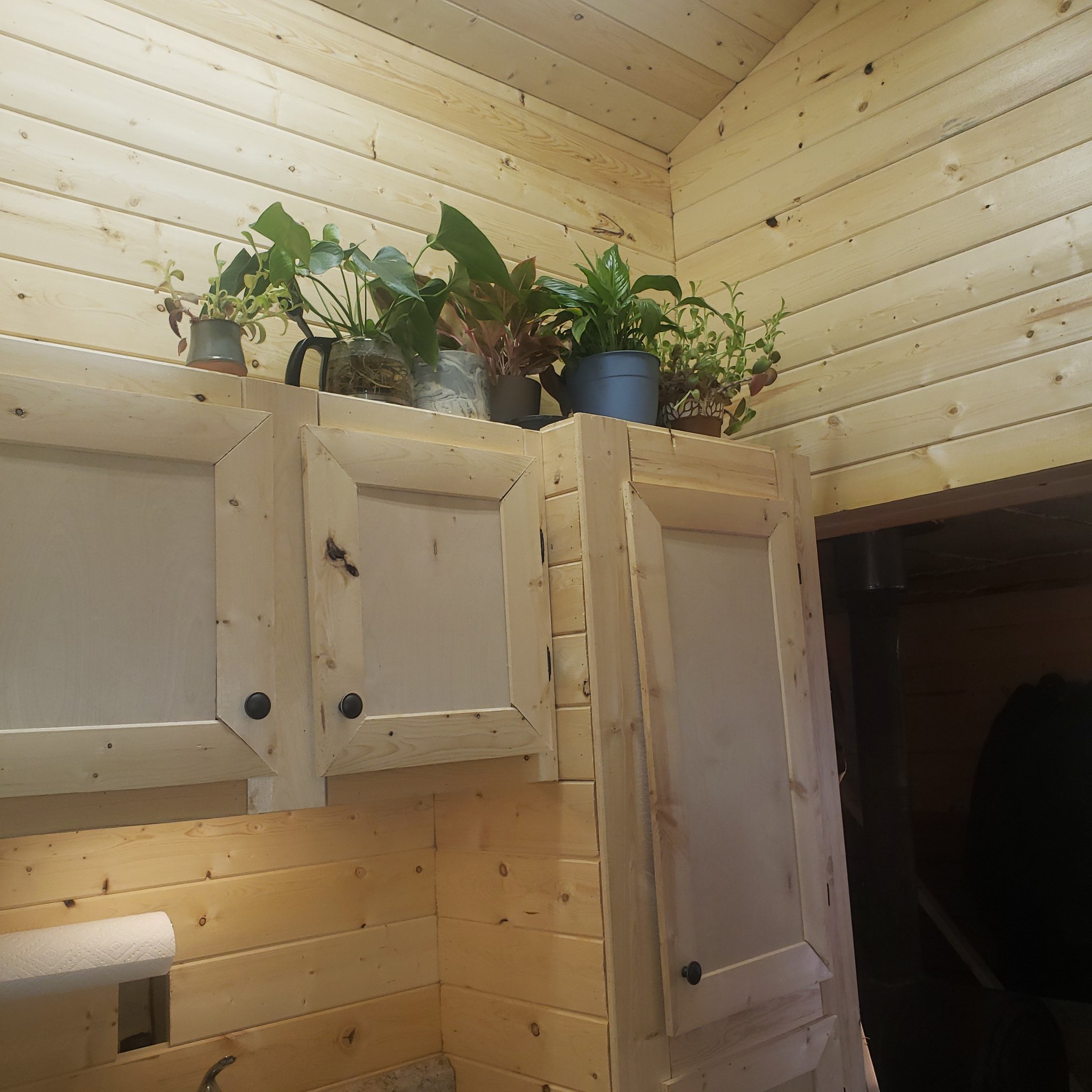 Remote Cabin Alaska, Off Grid Living, Near Fairbanks Alaska