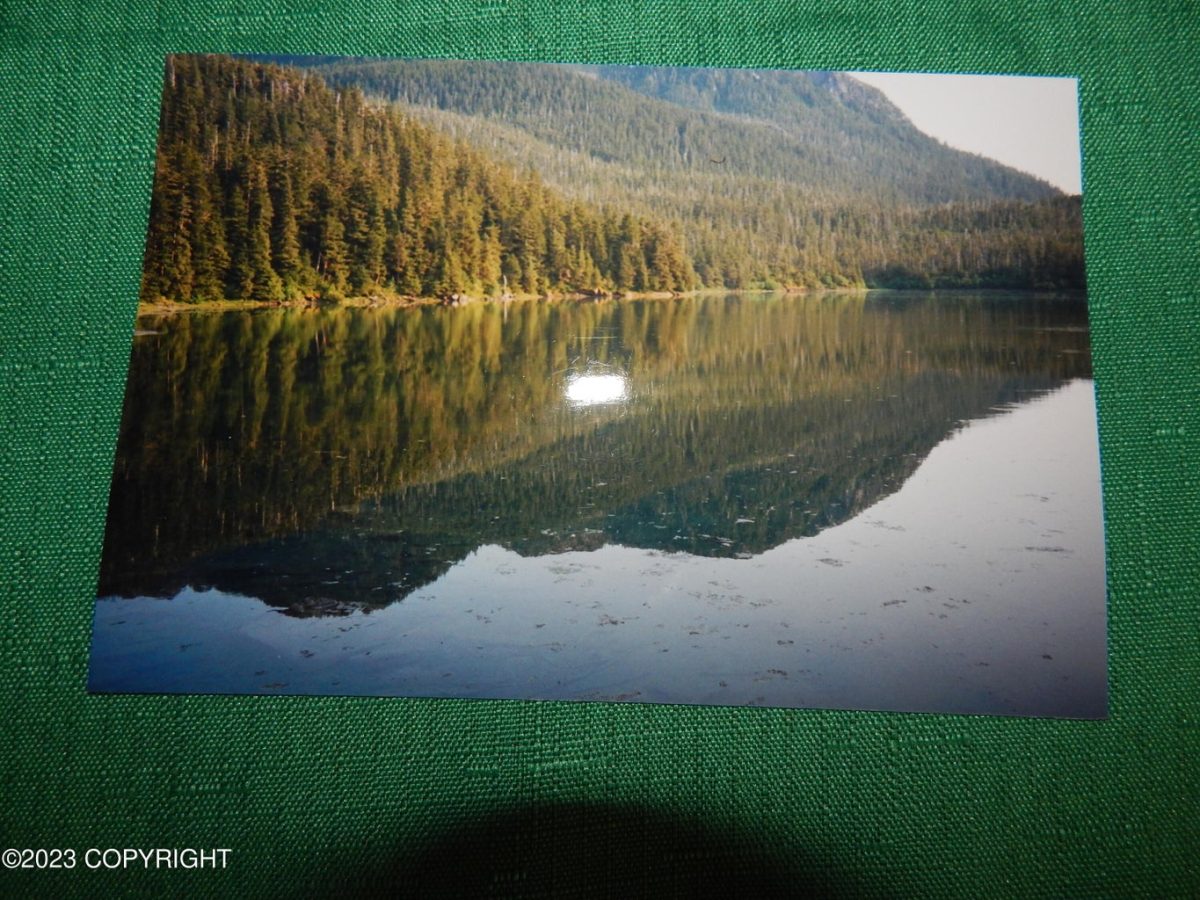 Remote Vacant Land, Lakefront, Prince William Sound Alaska