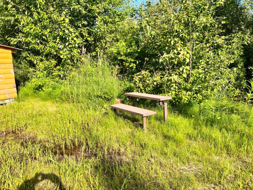 Charming, Creekside, Off Grid Log Cabin in Willow Alaska