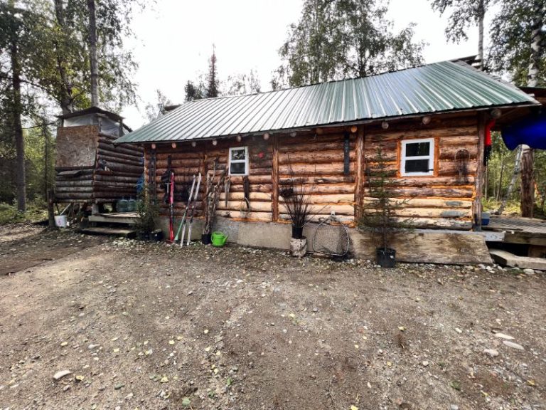 Remote 40 Acres, Cabin With Well in Willow Alaska Wilderness