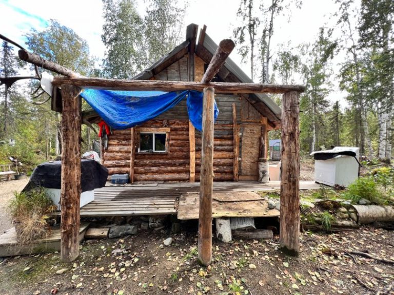 Remote 40 Acres, Cabin With Well in Willow Alaska Wilderness