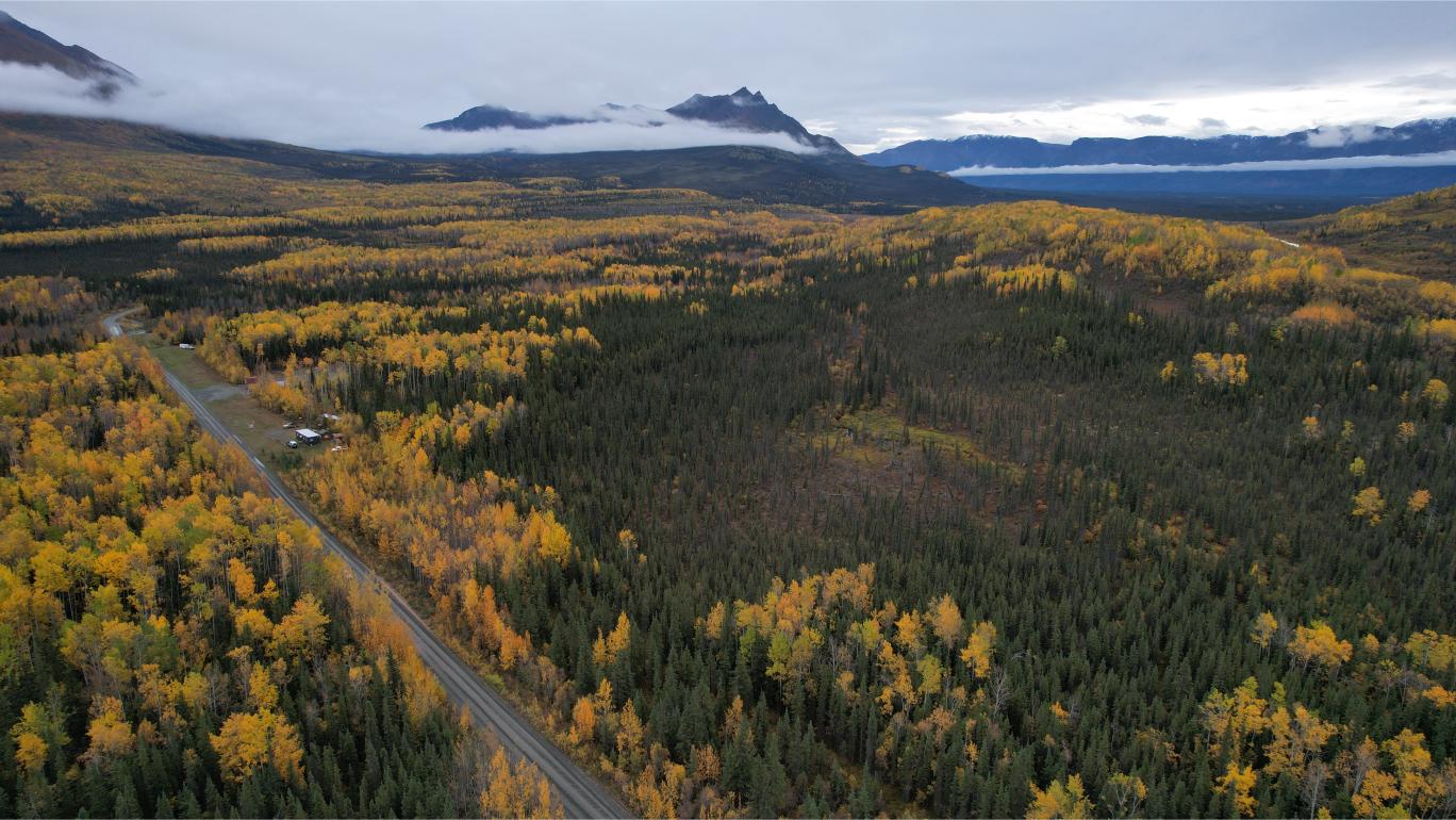 Featured image for “5 Acres Vacant Land, 960 ft of McCarthy Road Frontage, Near Chitina, Alaska $67k”