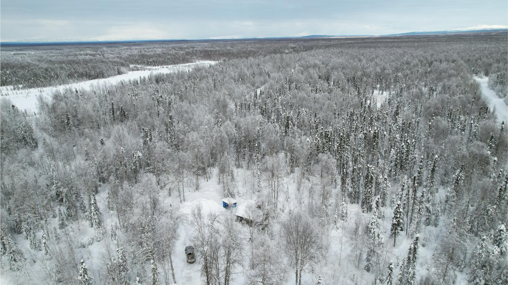 Featured image for “Charm and tranquility of this secluded 1.87-acre lot, in a peaceful natural setting. $79k”