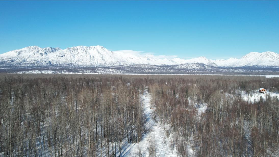 denali state park land for sale alaska