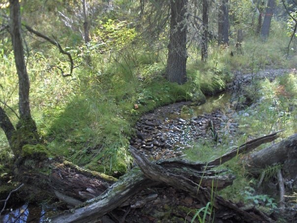 5a9e7826-0268-4b01-a87b-970c7b8db8d4