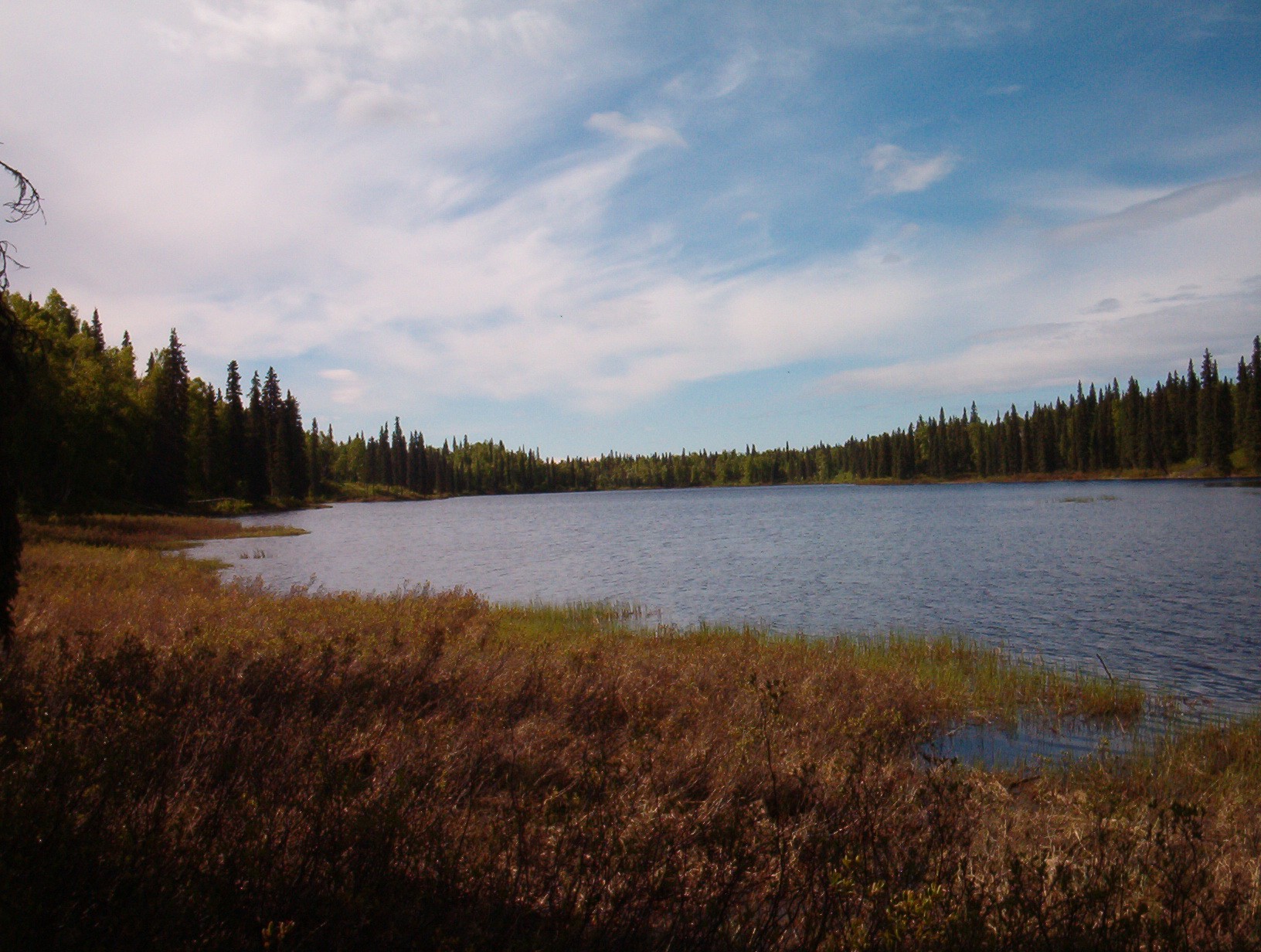 Featured image for “5 Acres Remote Lakefront Land on Hornet Lake Alaska | Cabin or Camping Property”