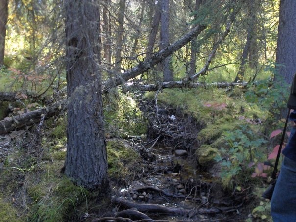 e8de6b46-99a0-47c3-92f8-775ea71194c4