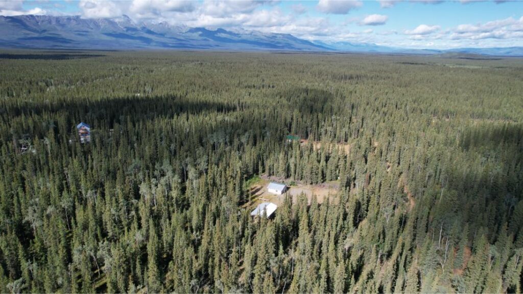 DJI_0367
