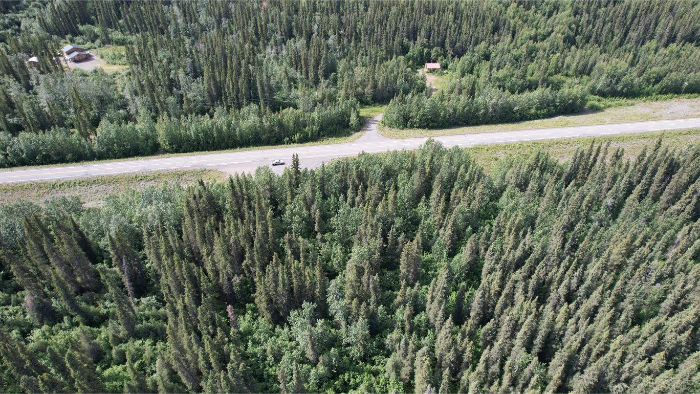 DJI_0394