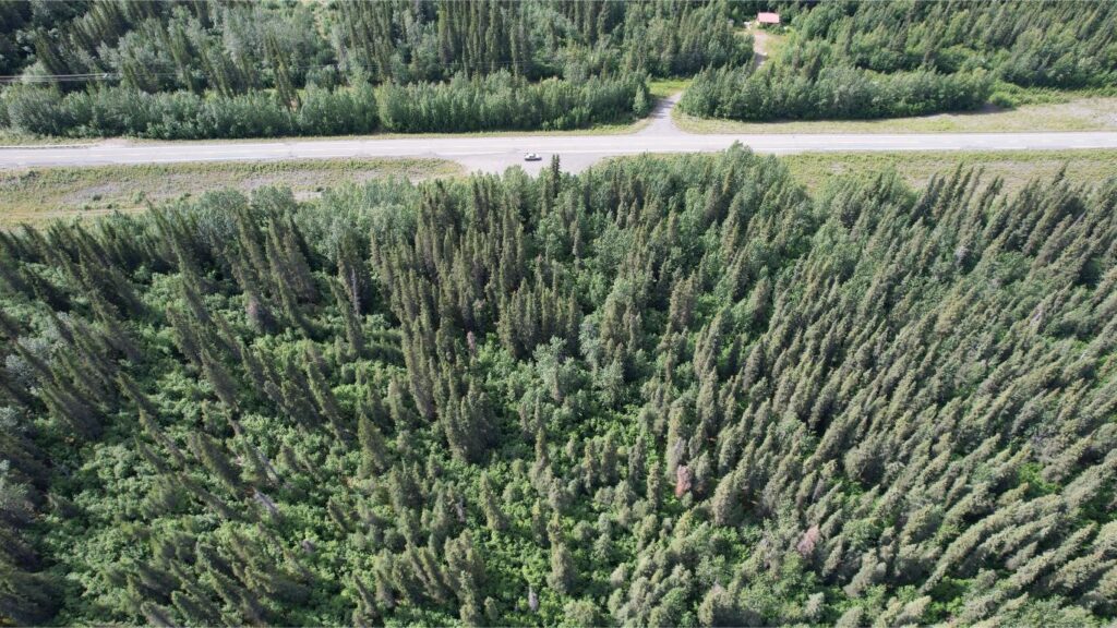 DJI_0397