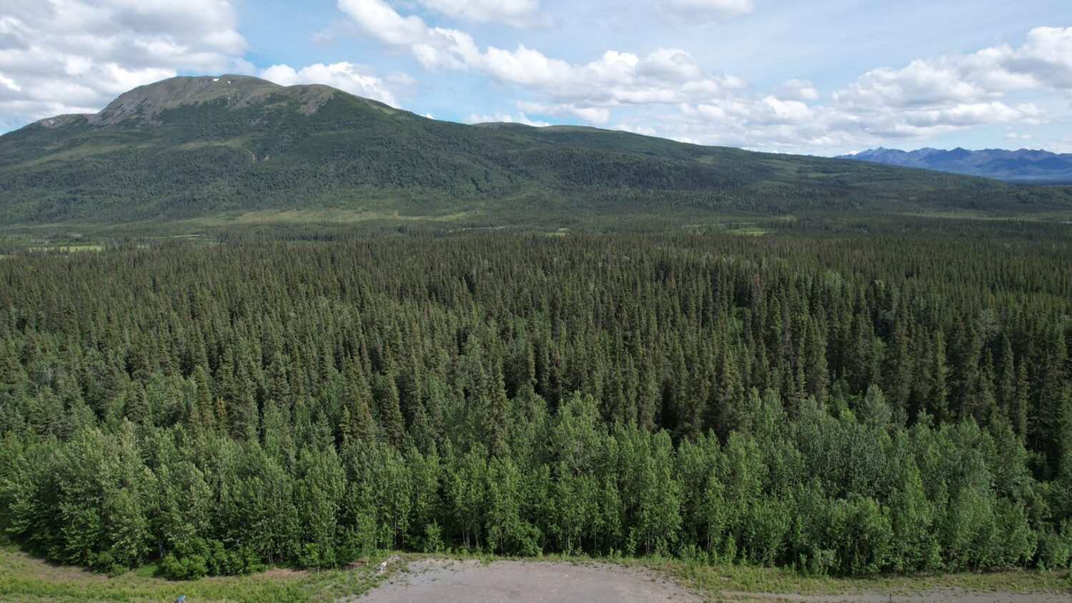 default - Remote Properties Alaska