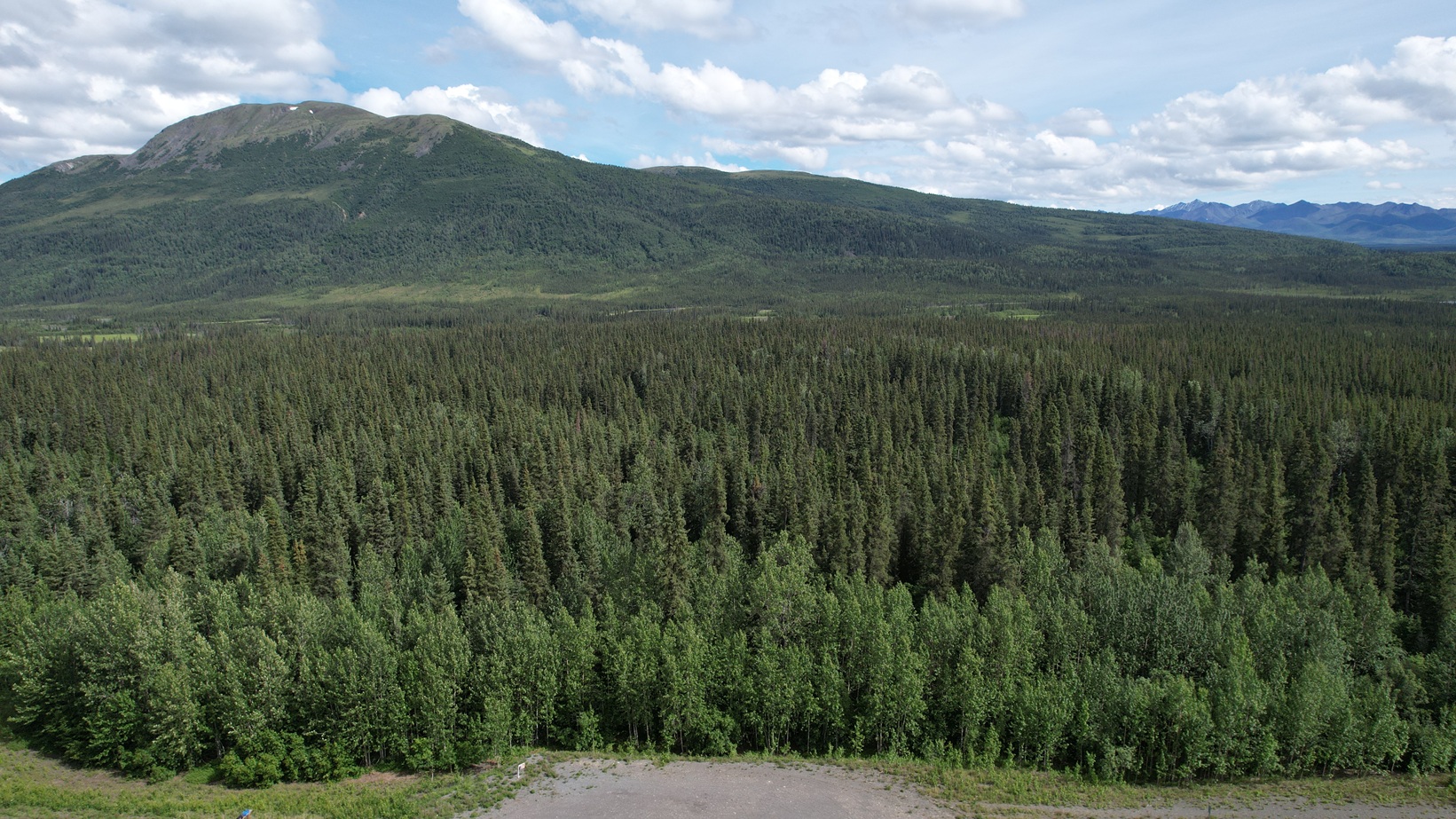 Featured image for “20 Acres Near Slana Alaska | Build Your Dream Home Near Wrangell-St. Elias National Park $99K”