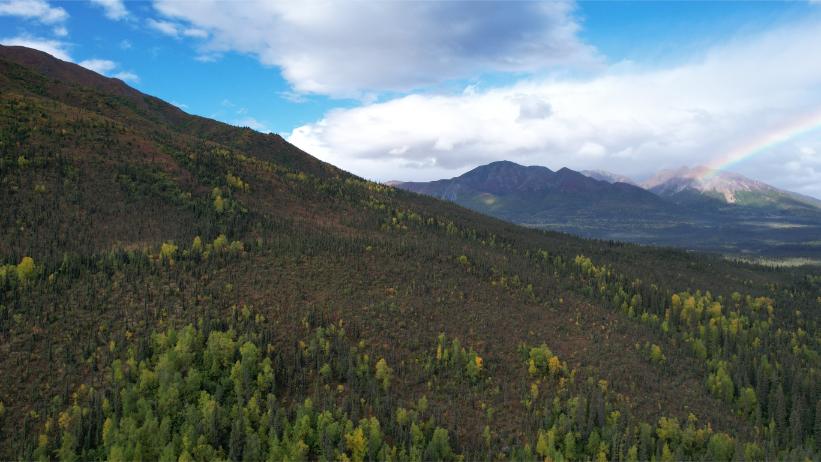 DJI_0441