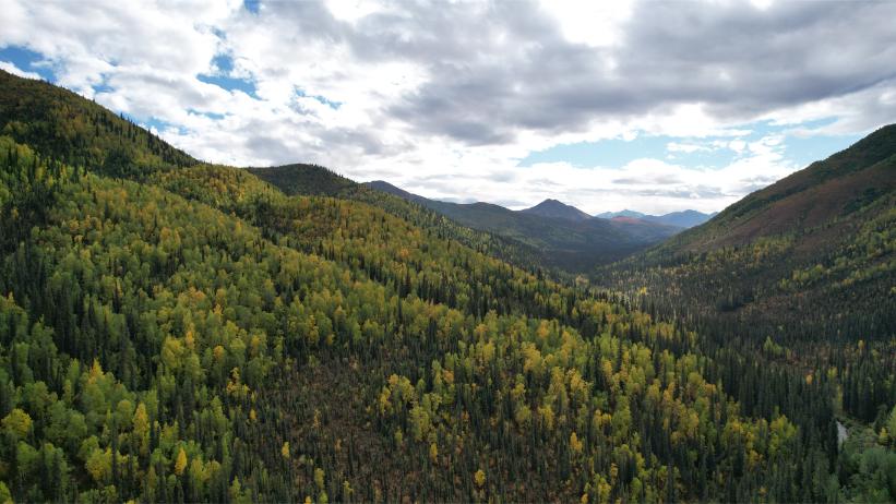 DJI_0447